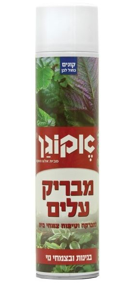 מבריק עלים 300 סמק אקוגן