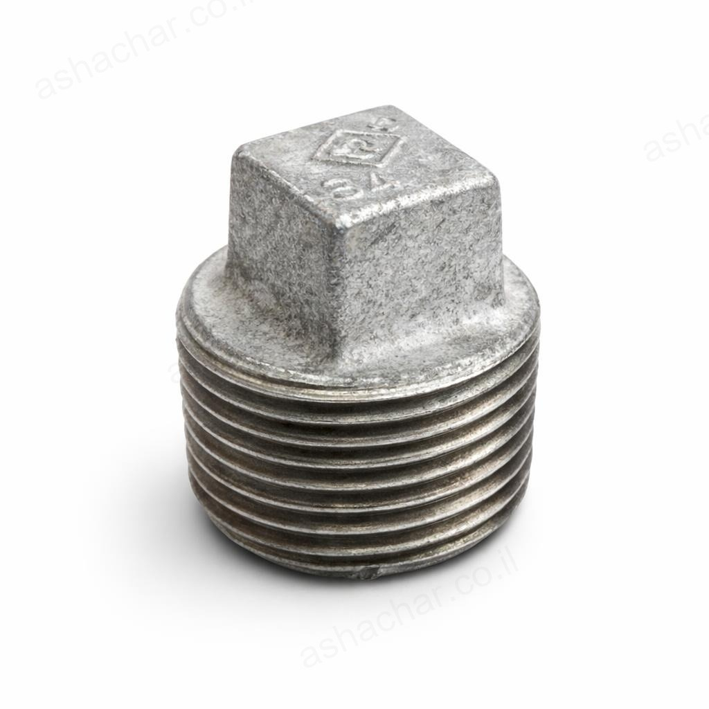 פקק 1 מגולוון