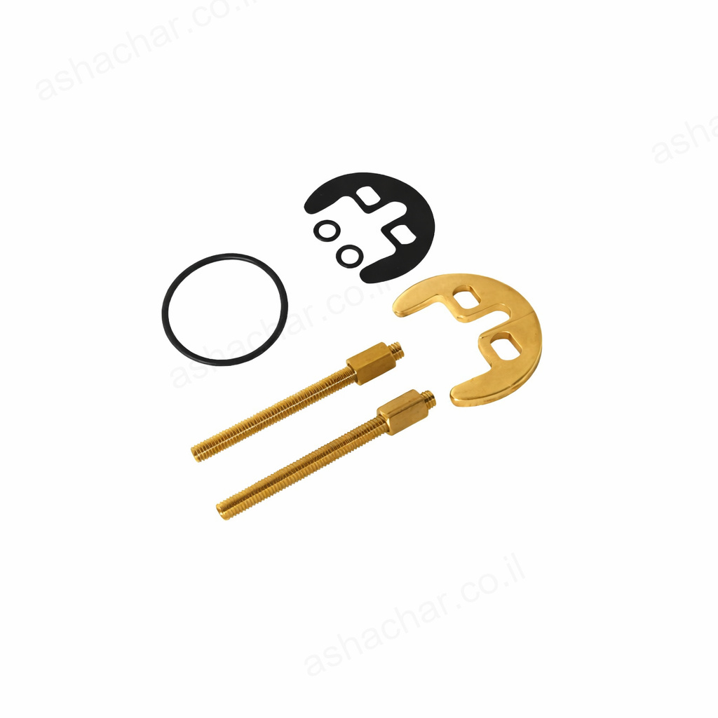 סט פרסה 2 ברגים לברז פרח