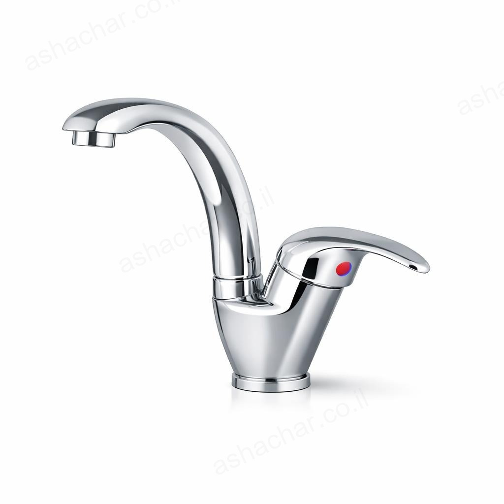 רונה ברבור קצר איקן 2030